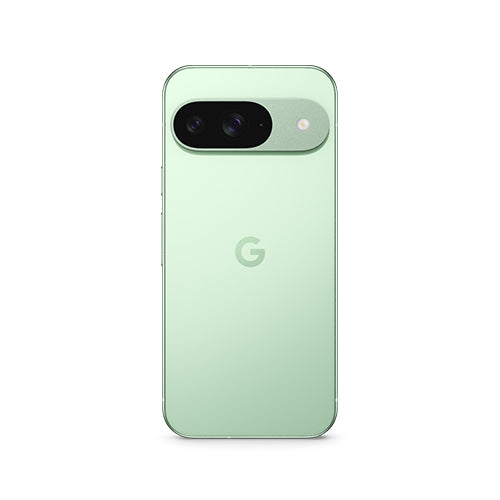 Google Pixel 9 5G Dual Sim 12GB/256GB Wintergreen - Global Version